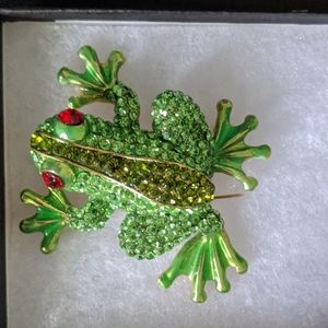 Frog Pin and Pendant